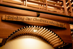 3 - Elegant Tagline of the Wine Cellar Elegant Tagline of the Wine Cellar