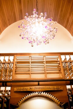 6 - Home Wine Cellar Chandelier View Home Wine Cellar Chandelier View