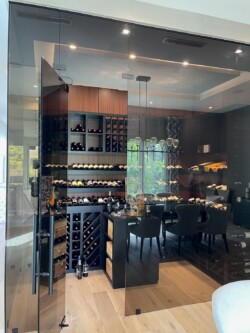 5 - Transitional Home Wine Cellar with Glass Display Transitional Home Wine Cellar in San Diego